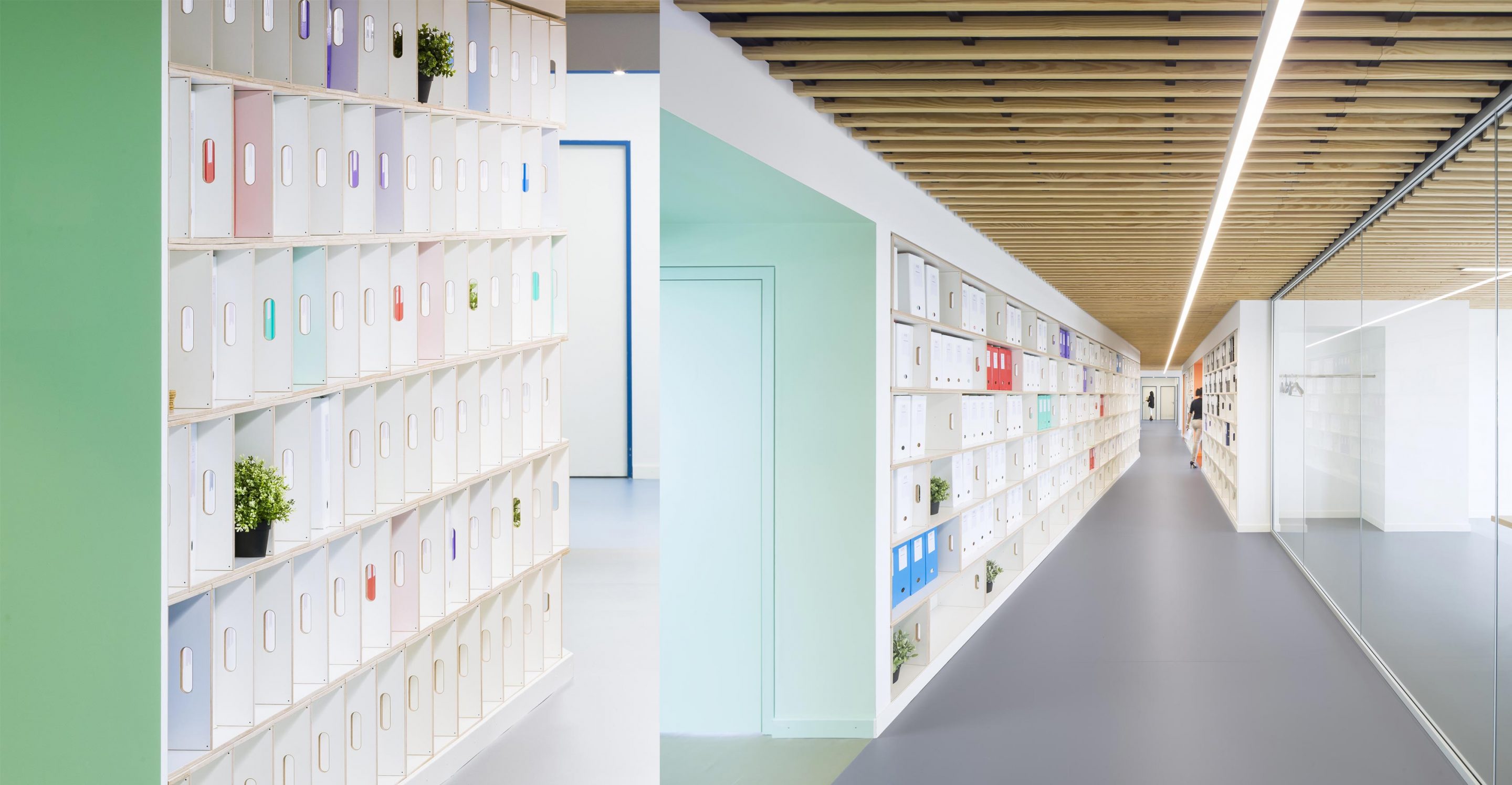 FTI by Studio Banana